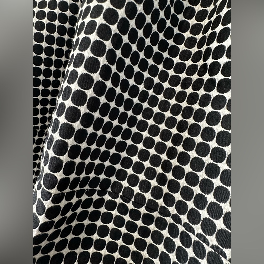 EXPRESS Circle Skirt size 10 NWOT - Picture 2 of 6